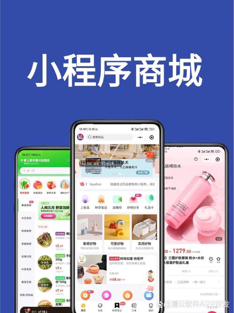 软件定制开发：企业成长的“加速器”